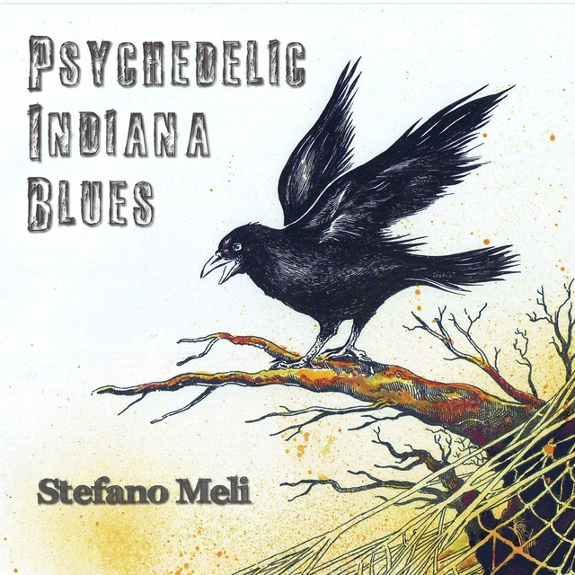 Couverture de Psychedelic Indiana Blues