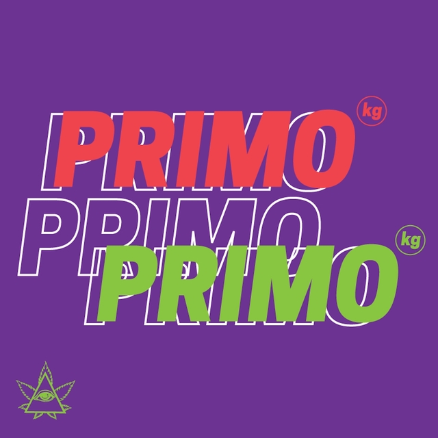 Couverture de Primo