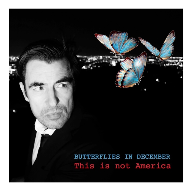 Couverture de Butterflies in December