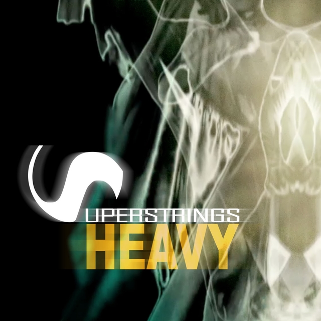 Couverture de Heavy