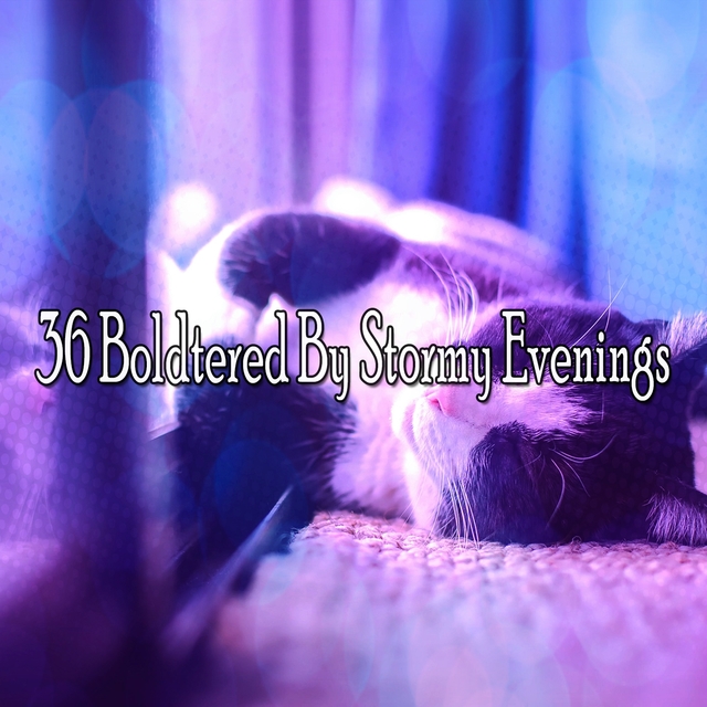 Couverture de 36 Boldtered by Stormy Evenings