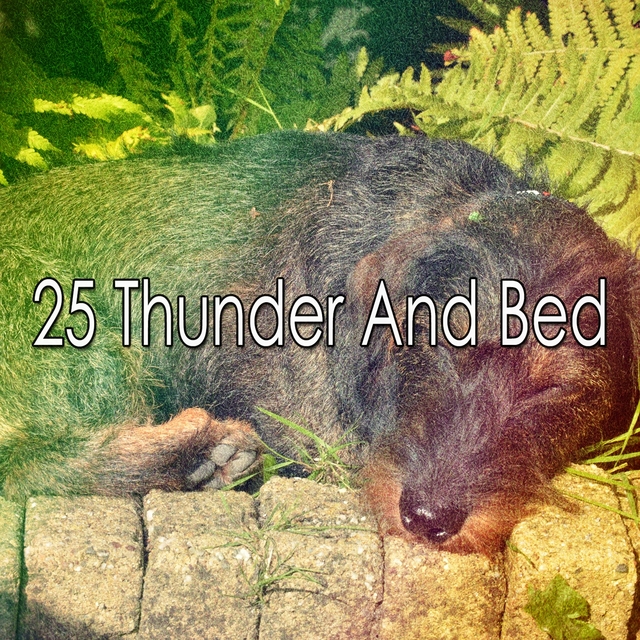 Couverture de 25 Thunder and Bed