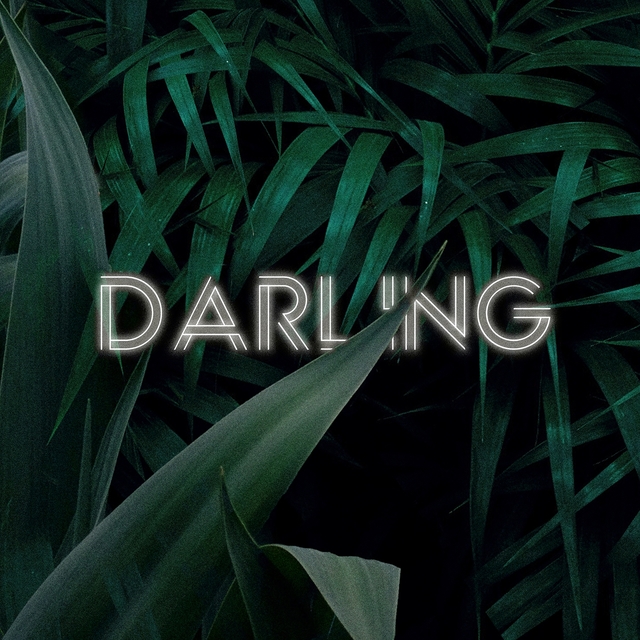 Couverture de Darling