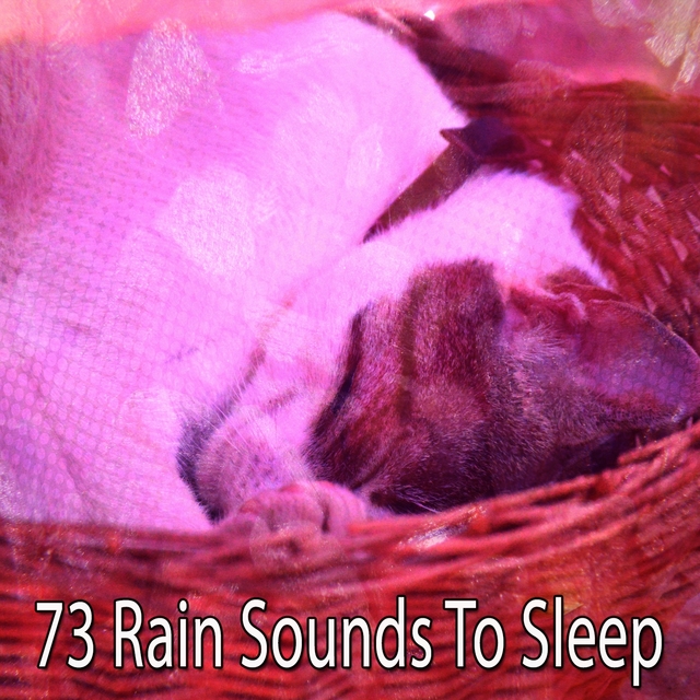 Couverture de 73 Rain Sounds to Sle - EP