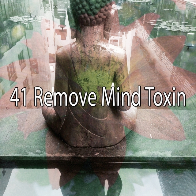 Couverture de 41 Remove Mind Toxin