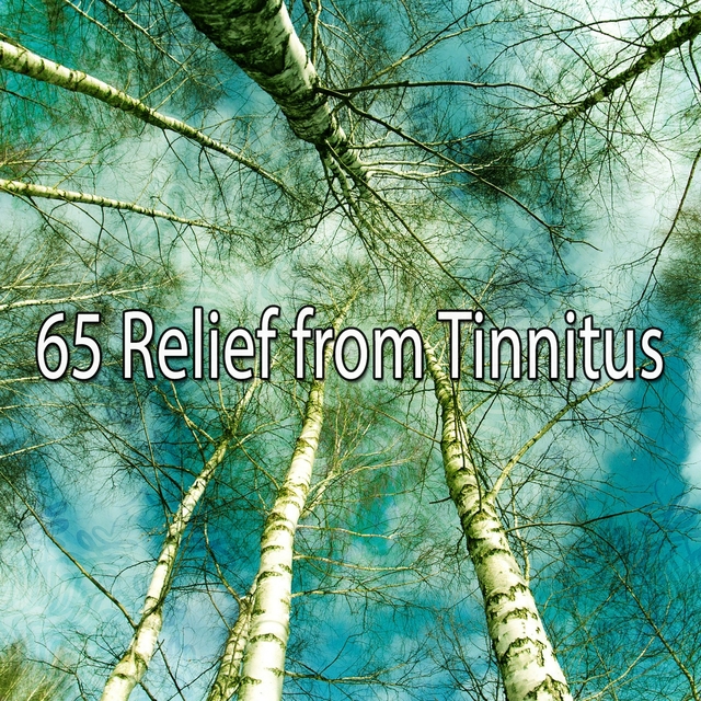 Couverture de 65 Relief from Tinnitus