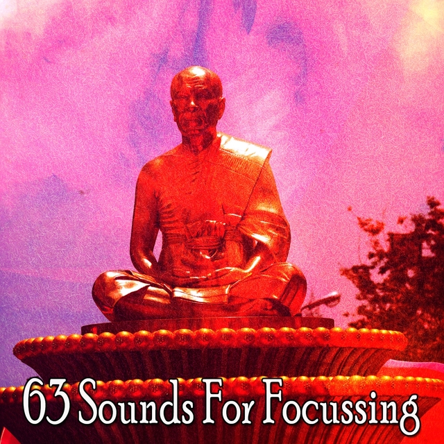 63 Sounds for Focussing