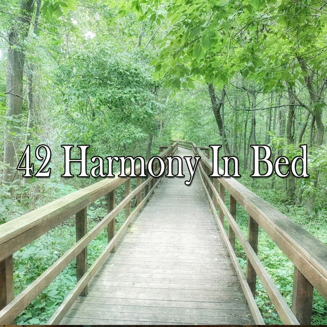 Couverture de 42 Harmony in Bed