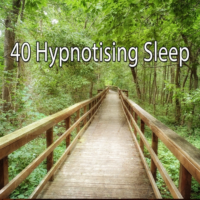 40 Hypnotising Sle - EP