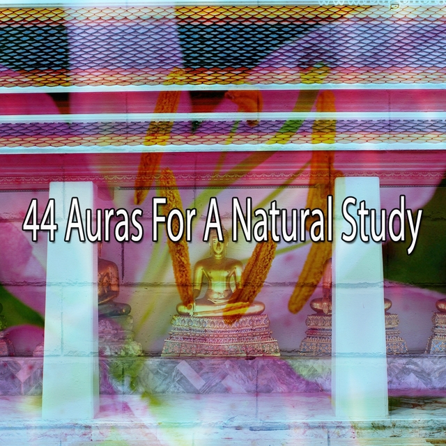 44 Auras for a Natural Study