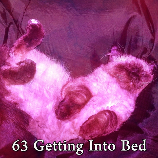 63 Getting Into Bed