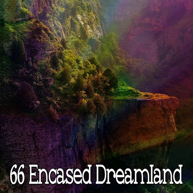 66 Encased Dreamland