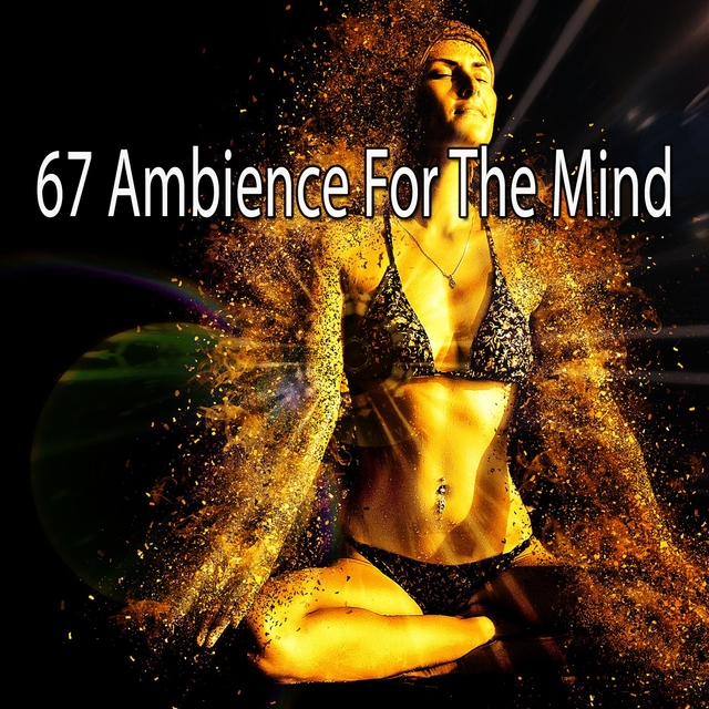 67 Ambience for the Mind