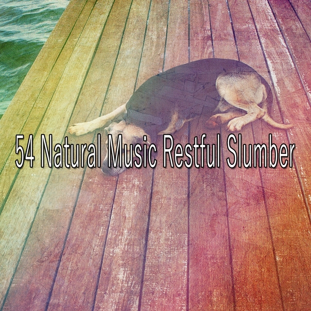 54 Natural Music Restful Slumber