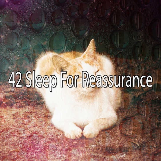 42 Sleep for Reassurance