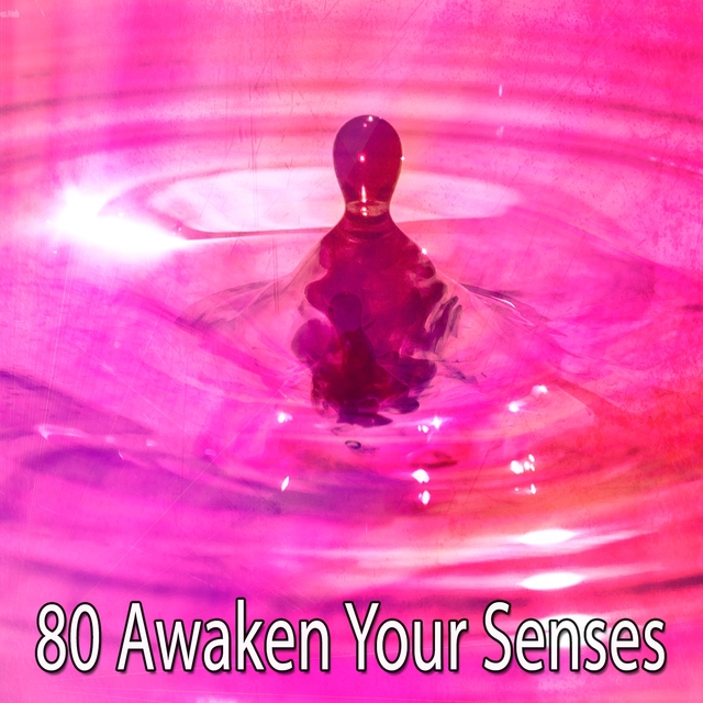 80 Awaken Your Senses