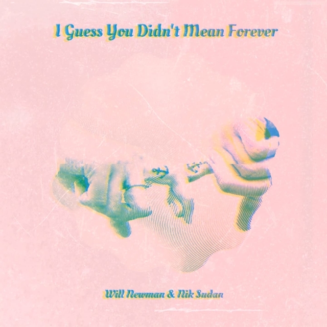 Couverture de I Guess You Didn't Mean Forever