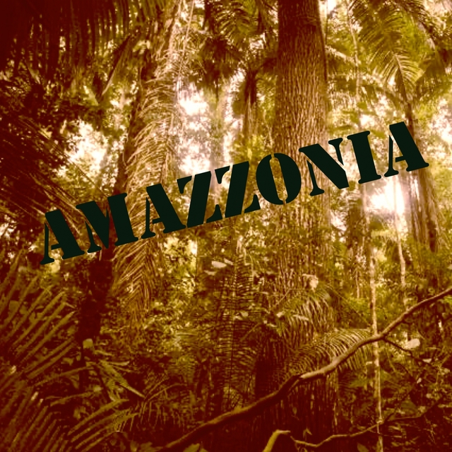 Couverture de Amazzonia