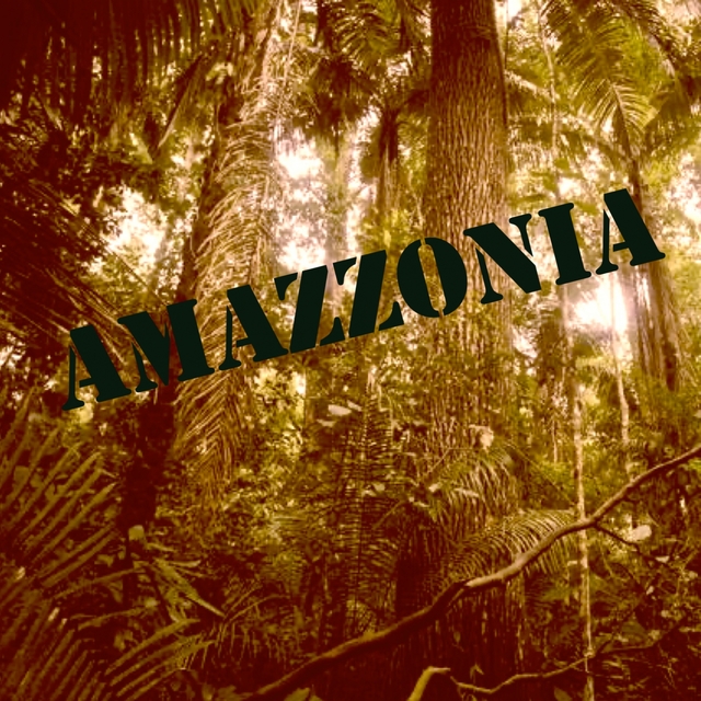 Amazzonia