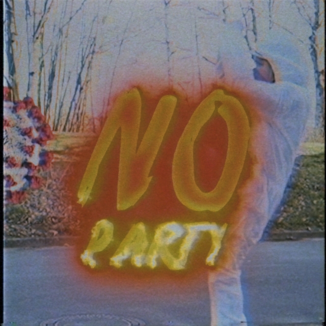 Couverture de No Party