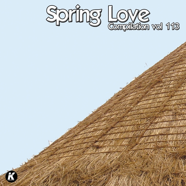 SPRING LOVE COMPILATION VOL 113