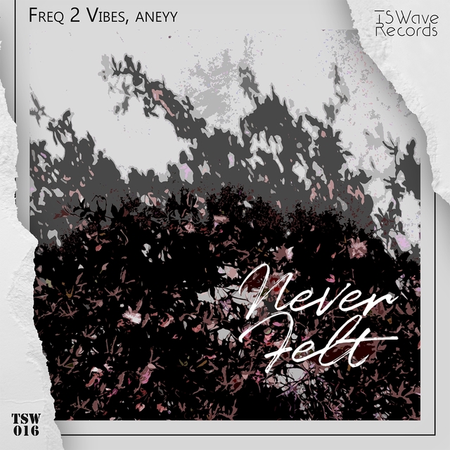 Couverture de Never Felt