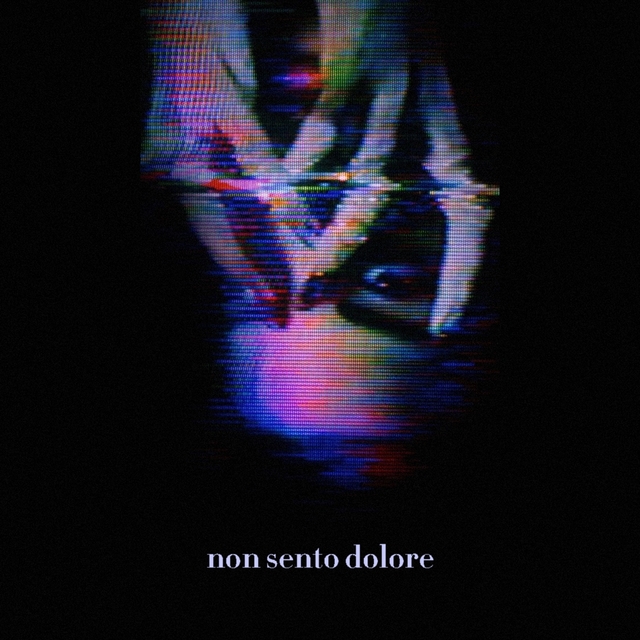 Couverture de Non sento dolore