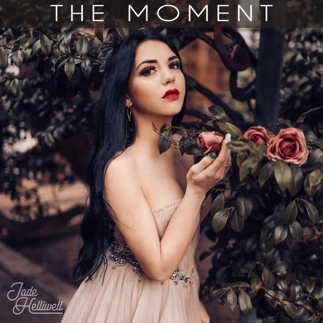 Couverture de The Moment