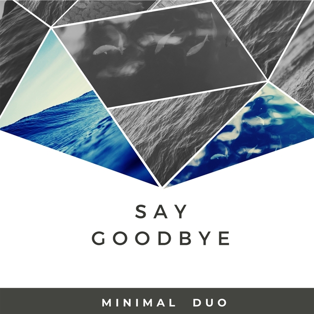 Couverture de Say goodbye