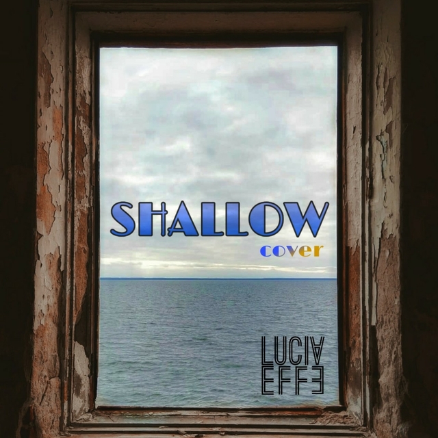 Couverture de Shallow