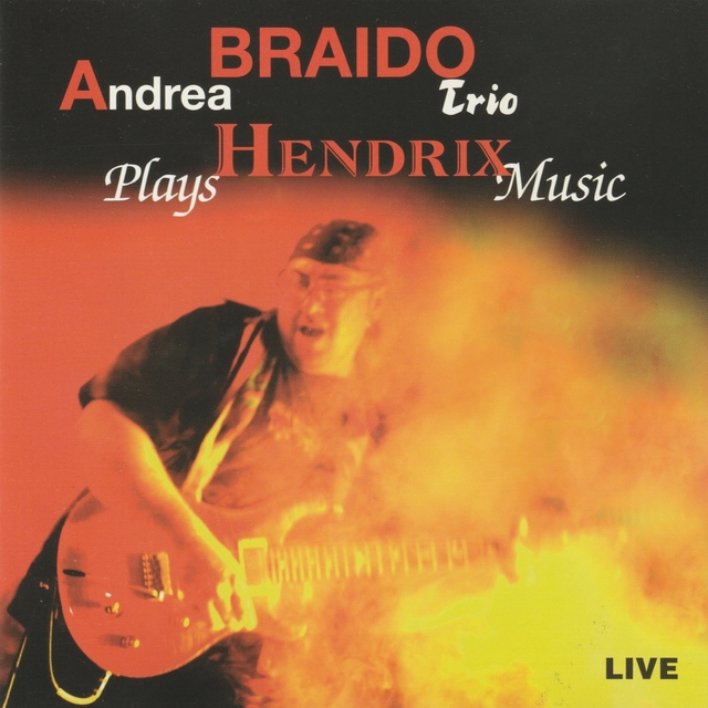 Couverture de Plays Hendrix Music Live