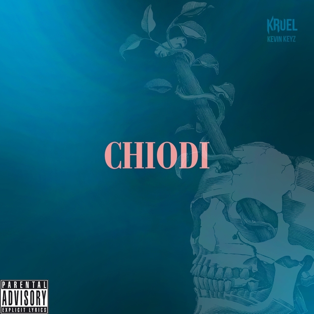 Couverture de Chiodi