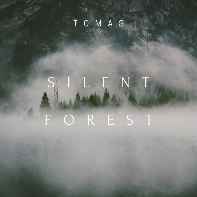 Couverture de Silent Forest