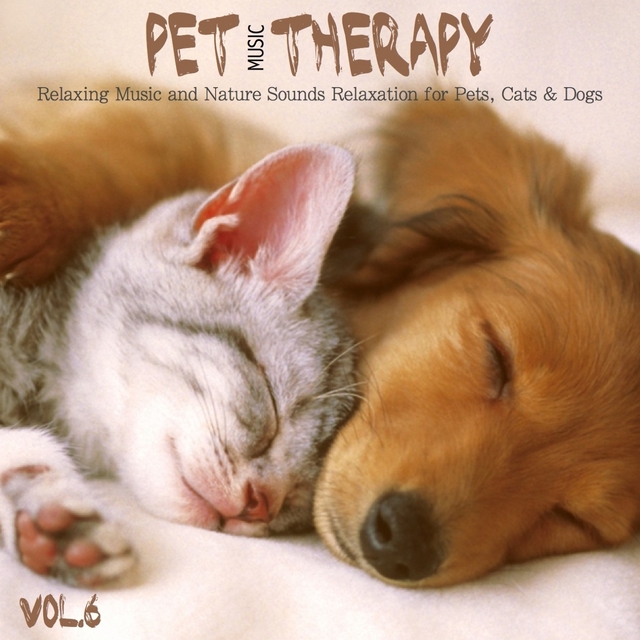 Pet Music Therapy, Vol. 6