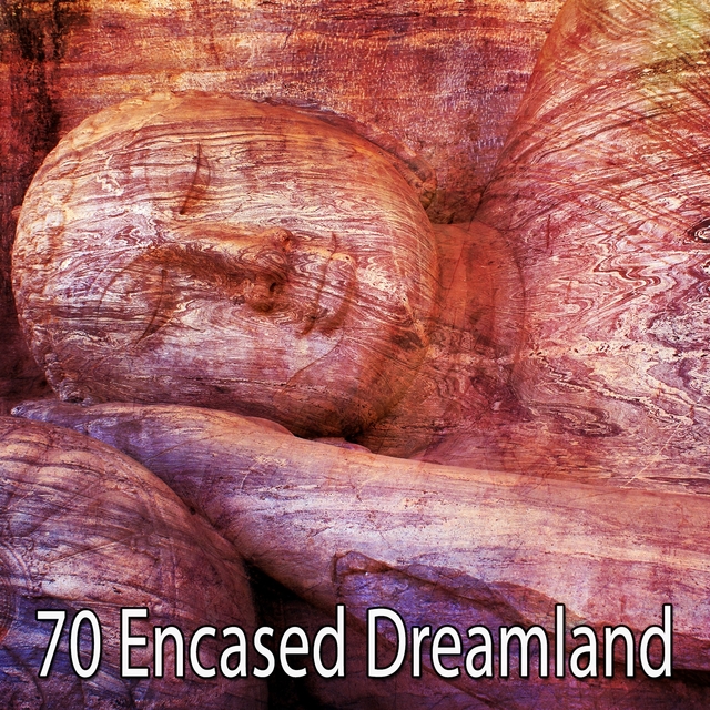 70 Encased Dreamland