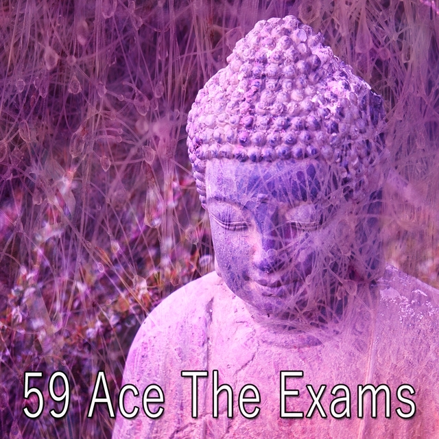 59 Ace the Exams