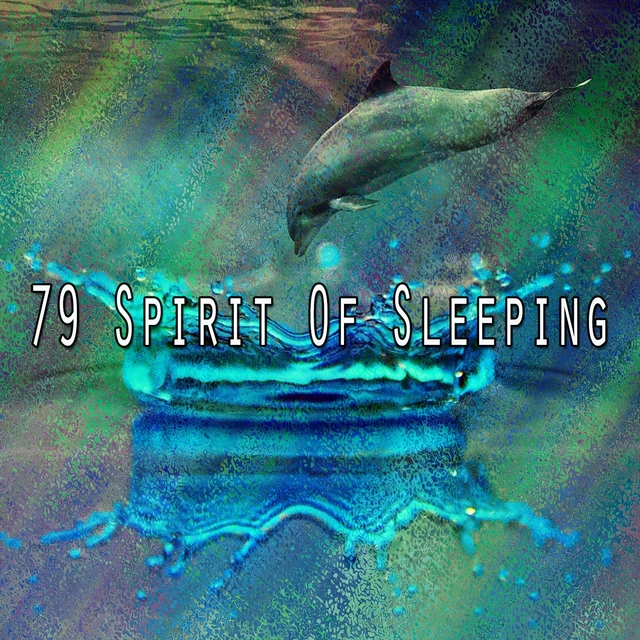 79 Spirit of Sleeping