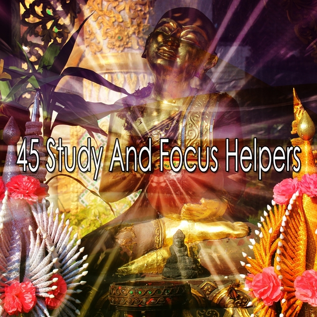 45 Study and Focus Helpers