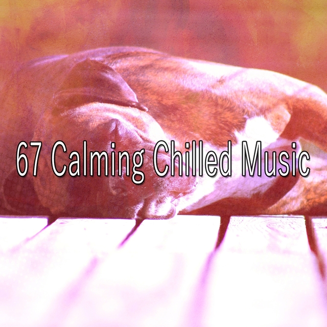 67 Calming Chilled Music