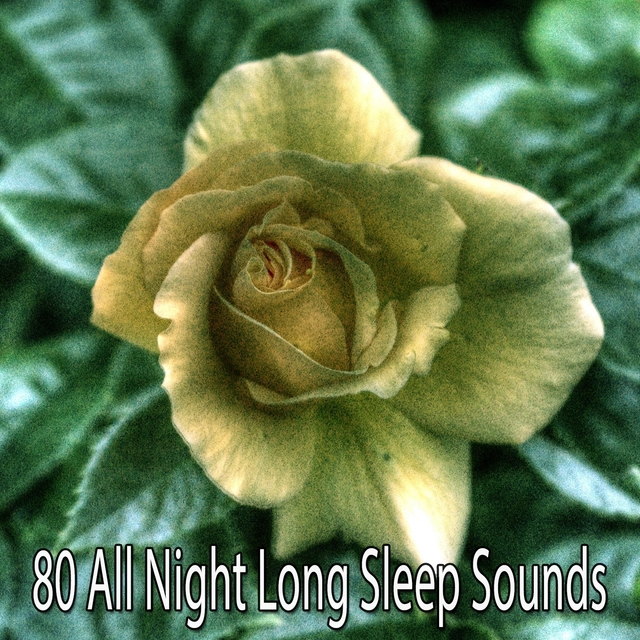 80 All Night Long Sleep Sounds