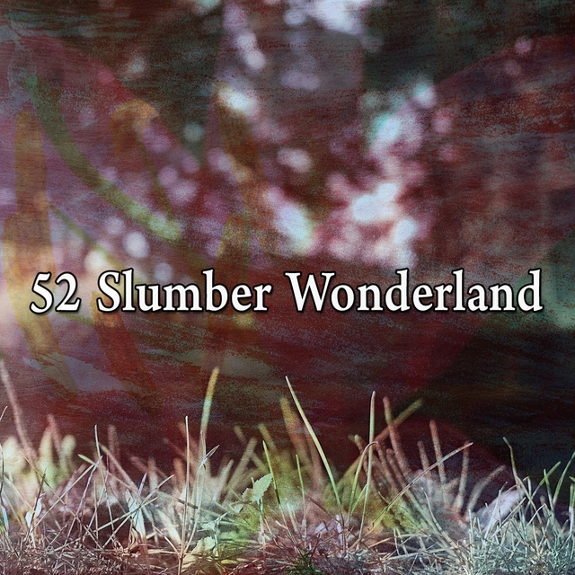 52 Slumber Wonderland