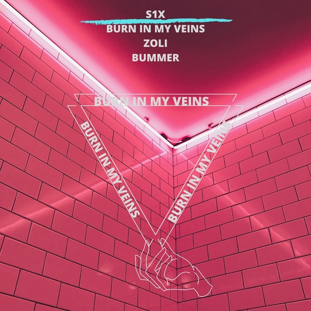 Couverture de Burn in My Veins