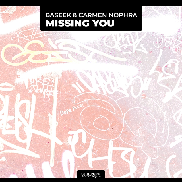 Couverture de Missing You