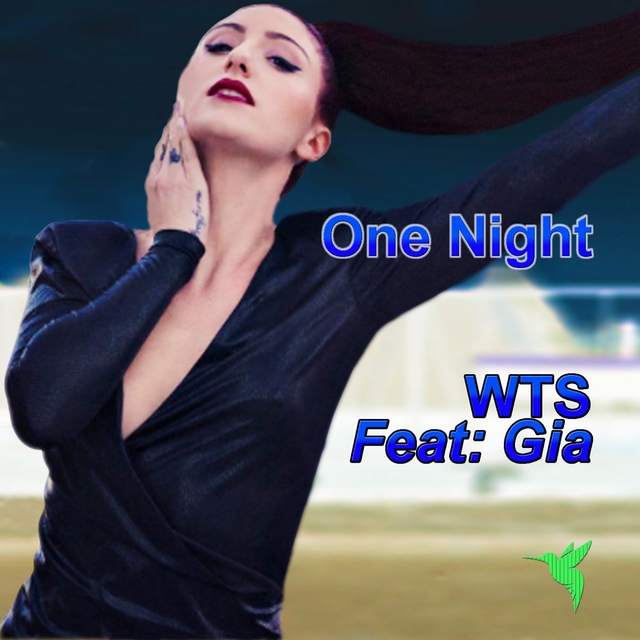 Couverture de One Night