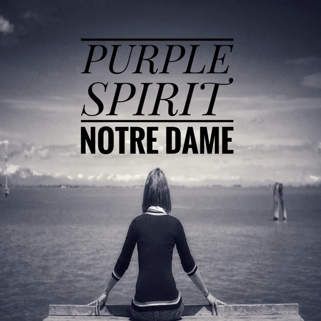 Couverture de Notre dame