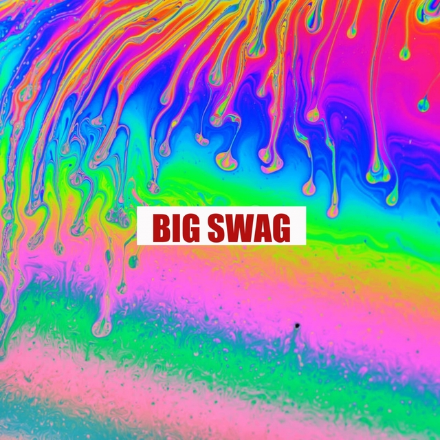 Couverture de BIG SWAG