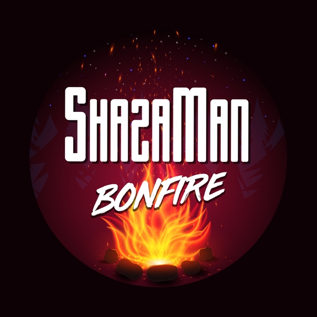 Couverture de Bonfire