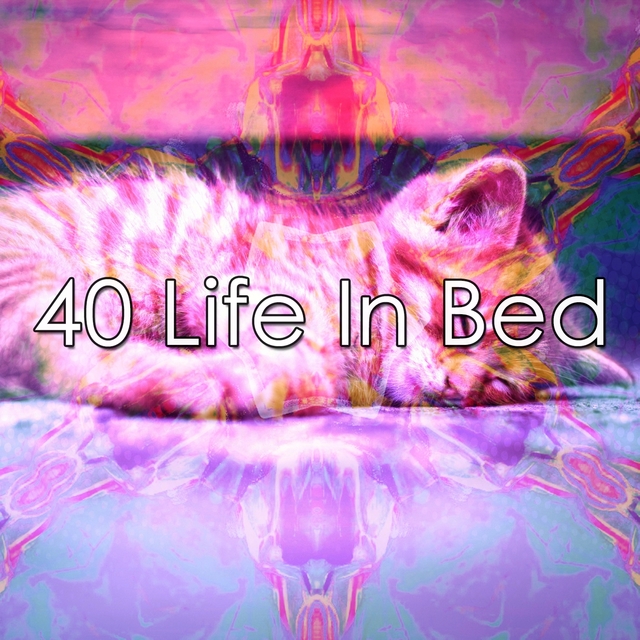 40 Life in Bed