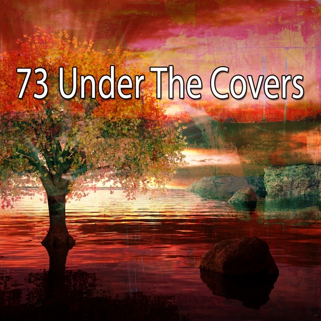 Couverture de 73 Under the Covers