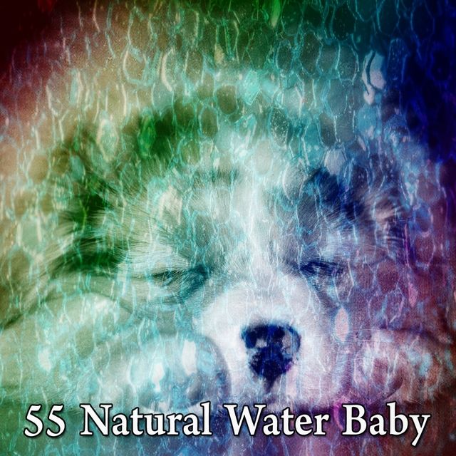 55 Natural Water Baby